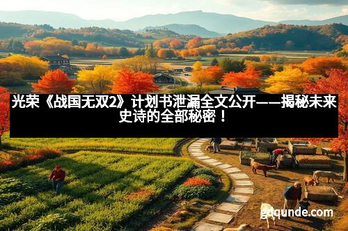光荣《战国无双2》计划书泄漏全文公开——揭秘未来史诗的全部秘密！